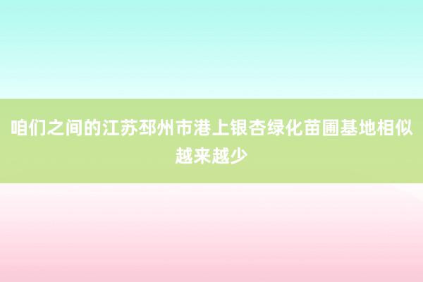 咱们之间的江苏邳州市港上银杏绿化苗圃基地相似越来越少